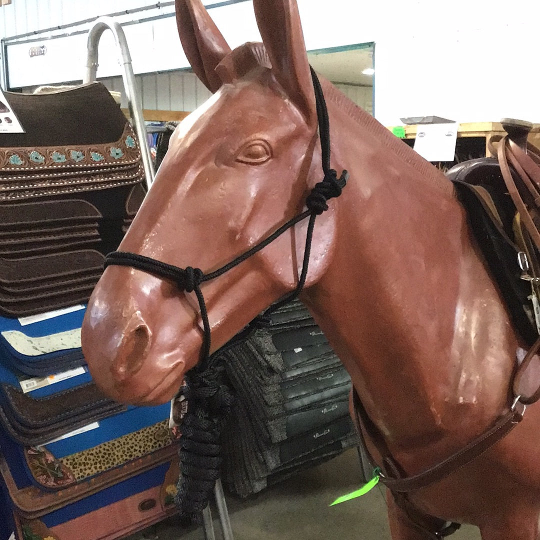 Irvine Diamond Mountain Halter 5/16" w/8' Lead