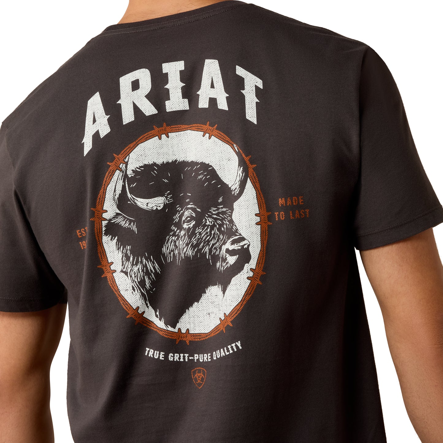 Ariat Men's Bison Brother T-Shirt - Vintage Black