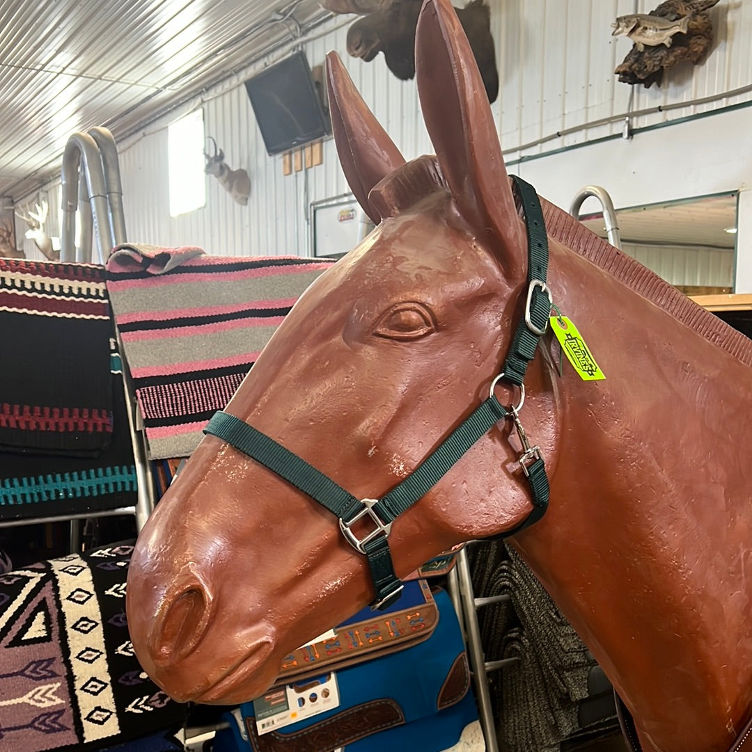 Irvine Nylon Adjustable Halter w/Snap - Irvine Tack & Western Wear