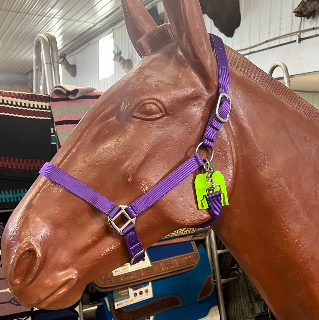 Irvine Nylon Adjustable Halter w/Snap - Irvine Tack &amp; Western Wear