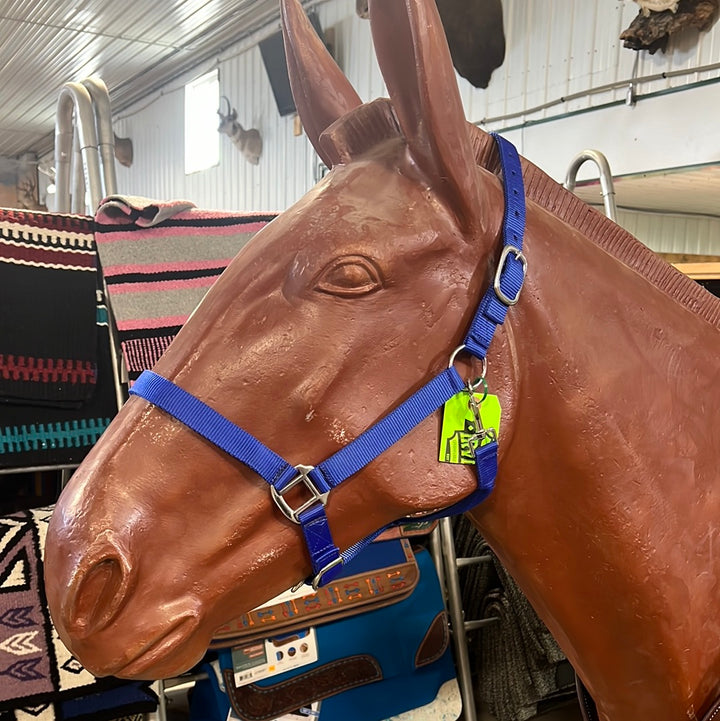 Irvine Nylon Adjustable Halter w/Snap - Irvine Tack &amp; Western Wear