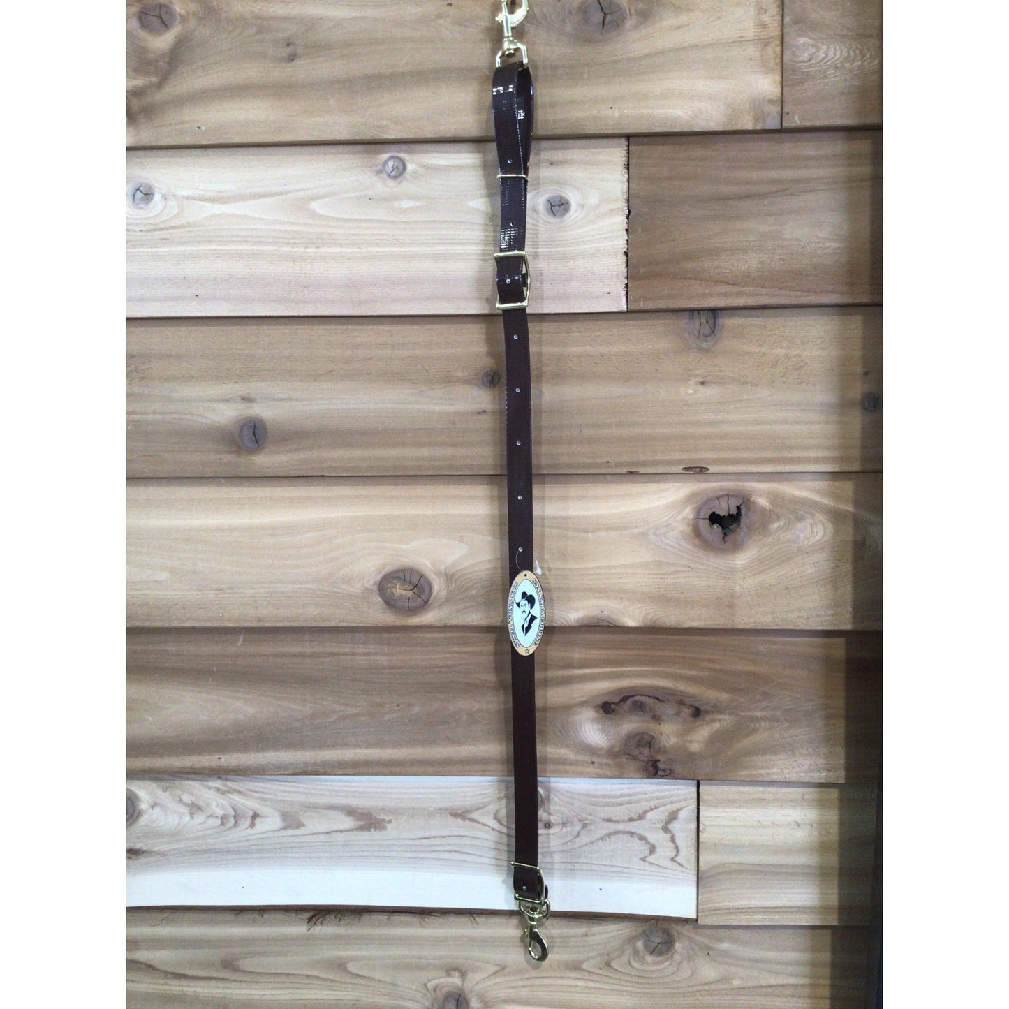 San Saba Biothane Tiedown