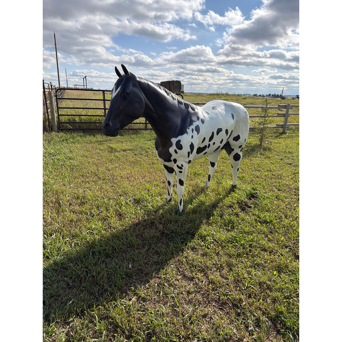 Aluminum Horse Statue