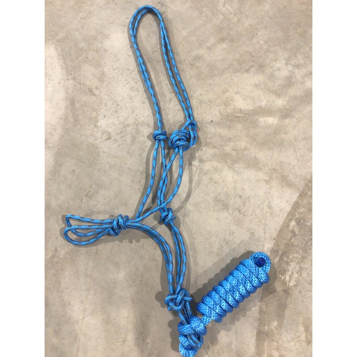 Rope Halter with Lead