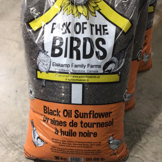 Black Oil Sunflower Seeds