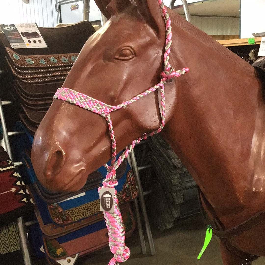 Irvine Mule Tape Halter w/8 ft Lead
