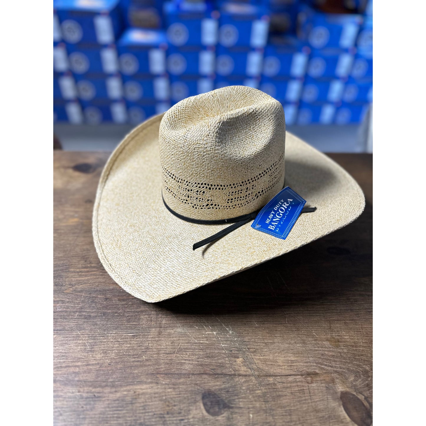 Rodeo King Quenten HD Bangora Burlap