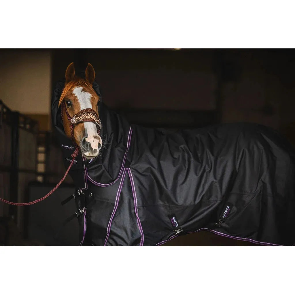Alliance Equine OG Signature Winter Blanket- Multiple Colours