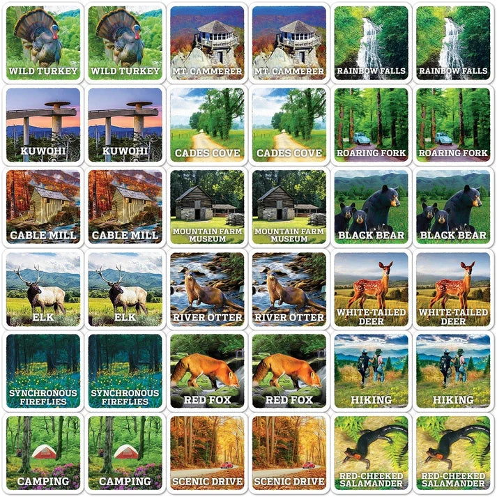 Masterpiece Jr. Ranger Great Smoky Mountains Matching Game