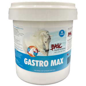 Basic Equine Gastro Max 4KG