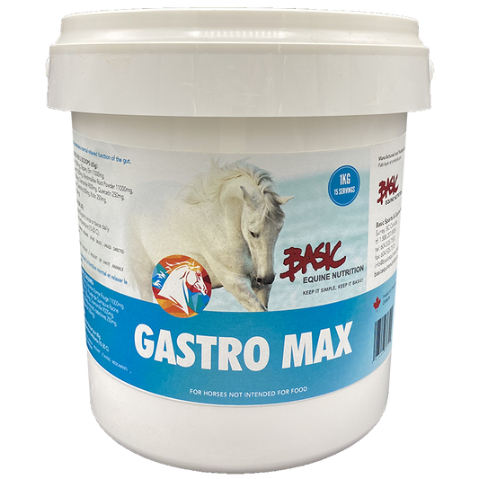 Basic Equine Gastro Max