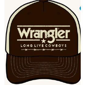 Wrangler The Grit Cap- Dark Brown/Stone