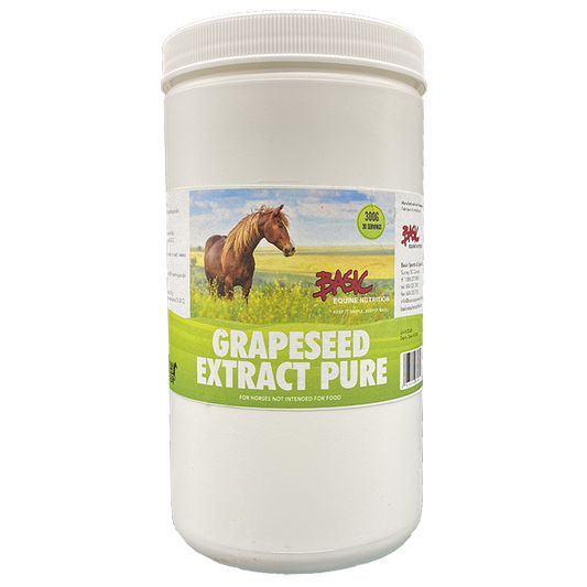 Basic Equine Grape Seed Extract 300G
