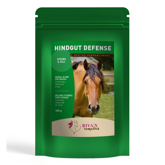 Riva's Remedies Equine Hindgut Defense - 500g