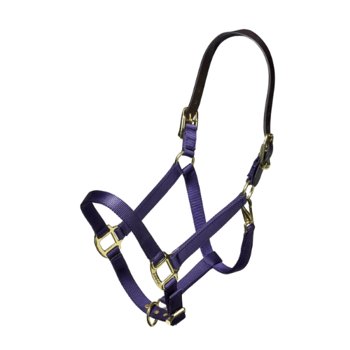 Shires  Nylon Halter with Leather Head Strap - Assorted Colors
