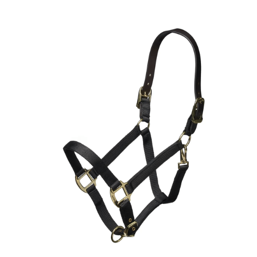 Shires  Nylon Halter with Leather Head Strap - Assorted Colors