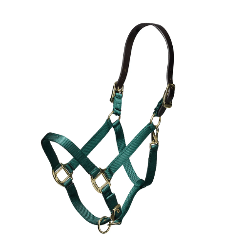 Shires  Nylon Halter with Leather Head Strap - Assorted Colors