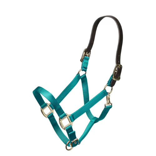 Shires  Nylon Halter with Leather Head Strap - Assorted Colors