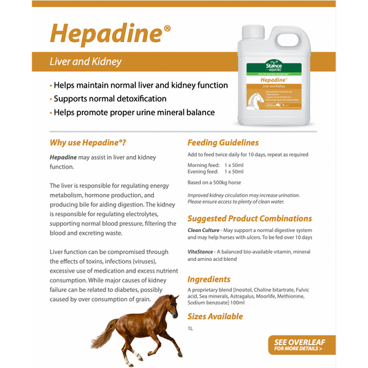 Stance EQ Hepadine  - 1 Litre