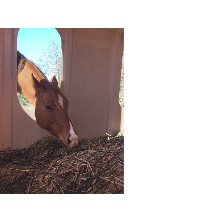 Hay Bonnet Net