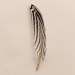 **M&F Hat Trim Feathers - Assorted