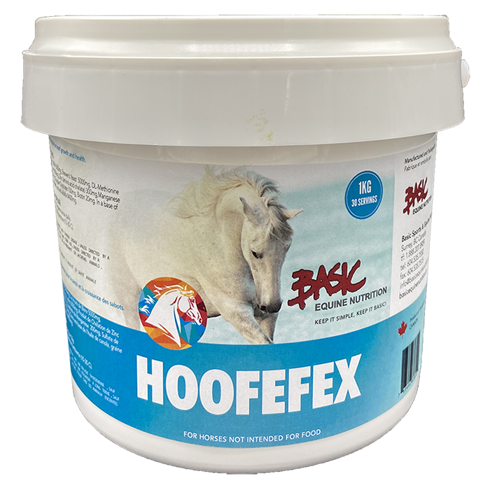 Basic Equine Hoofefex