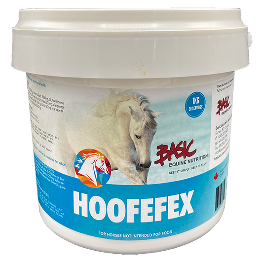 Basic Equine Hoofefex