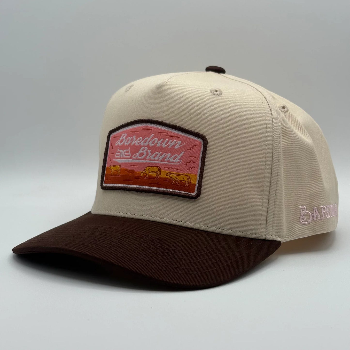 Baredown Brand Pink Skies A Frame Curved Brim Cap