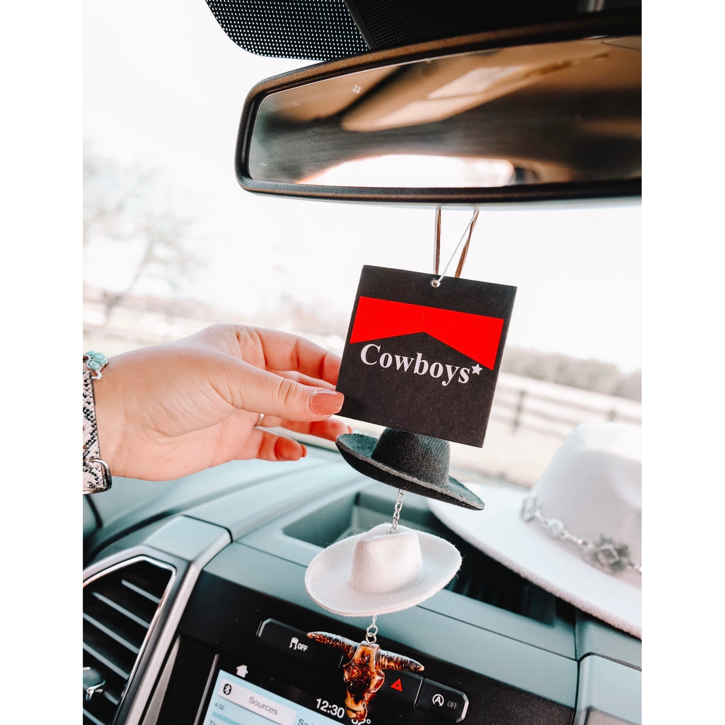 Front Porch Western Air Fresheners - Assorted Styles