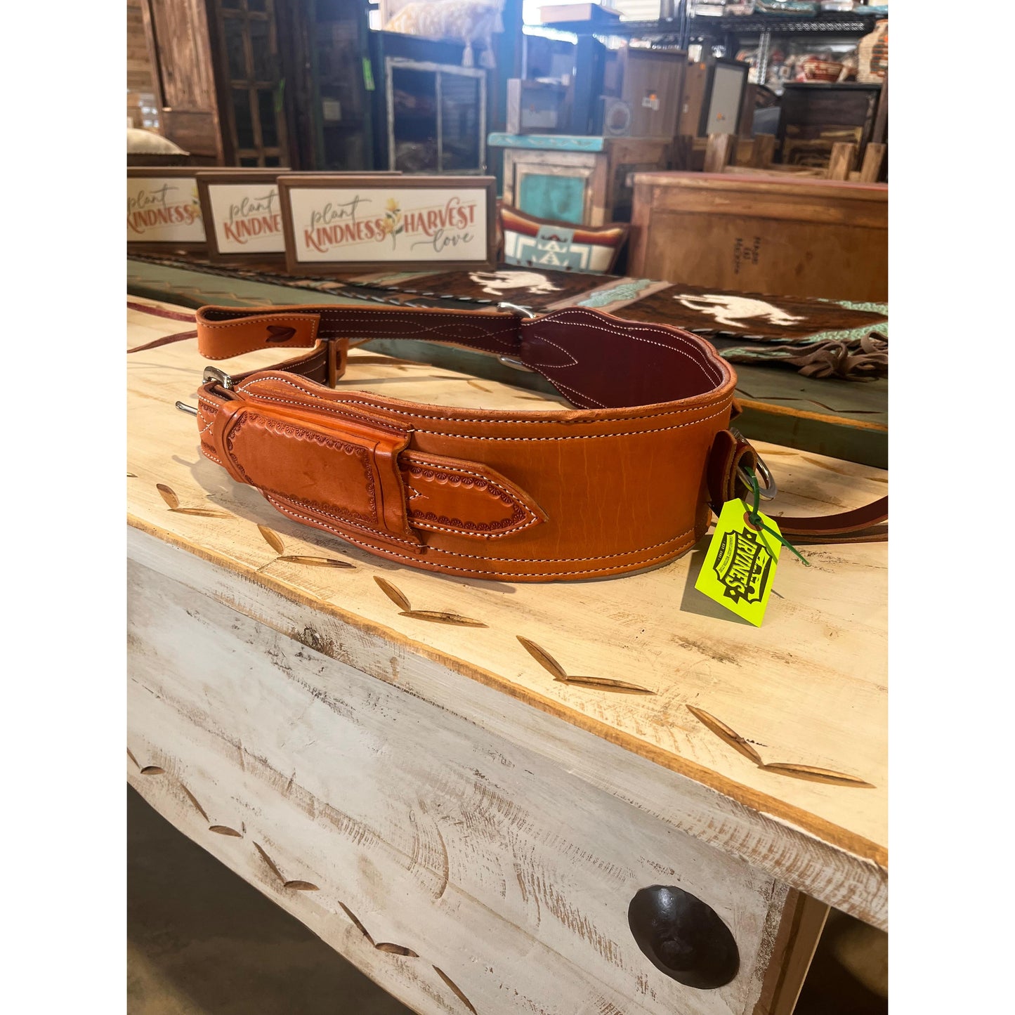 Irvine's Complete Back Cinch Set - Assorted Sizes