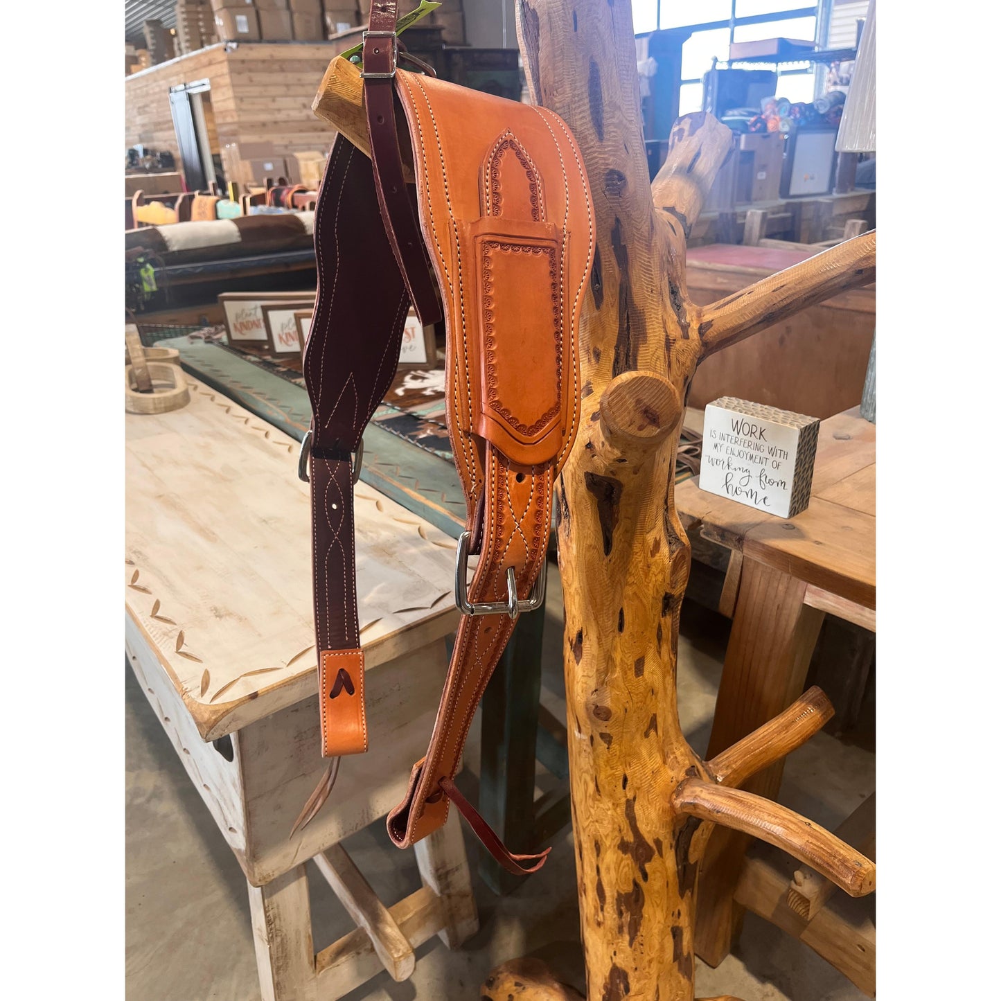 Irvine's Complete Back Cinch Set - Assorted Sizes