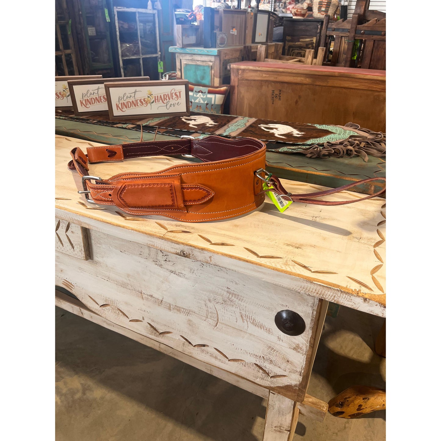 Irvine's Complete Back Cinch Set - Assorted Sizes