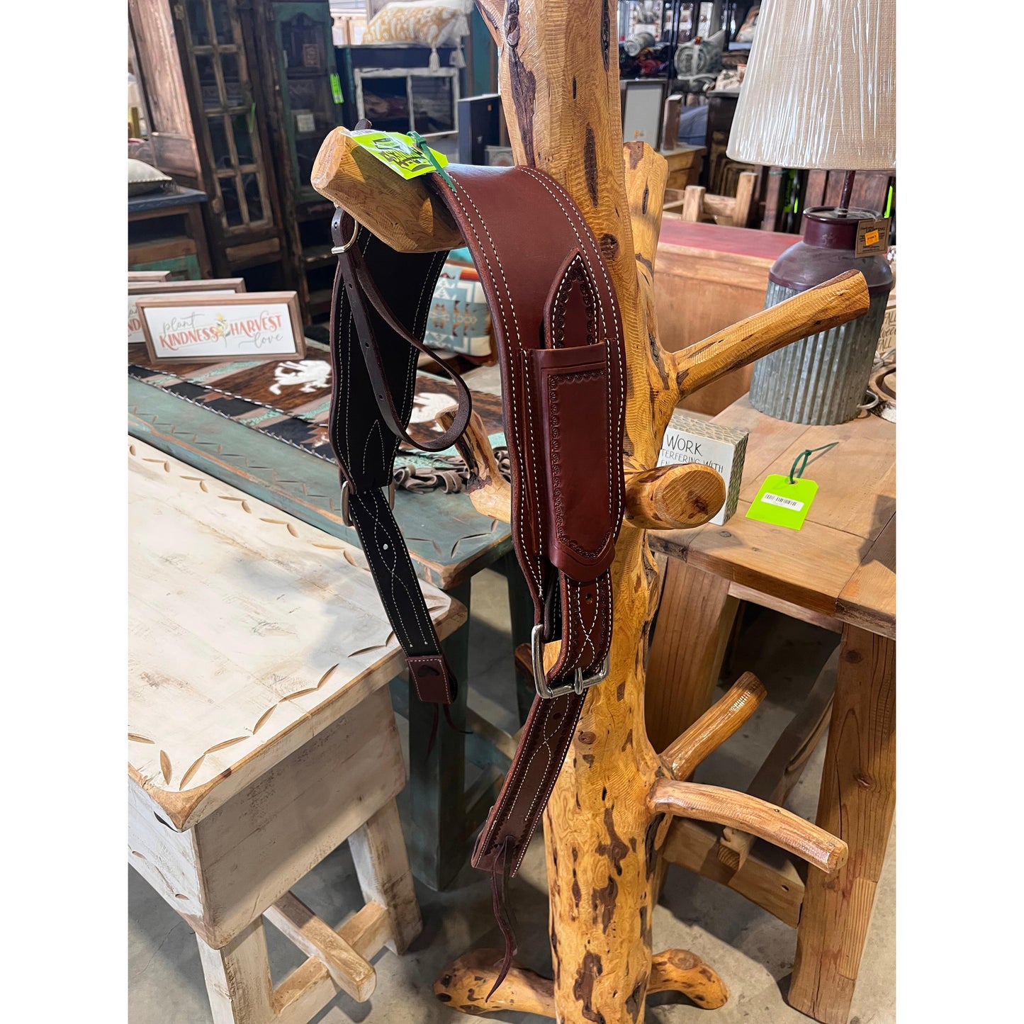 Irvine's Complete Back Cinch Set - Assorted Sizes