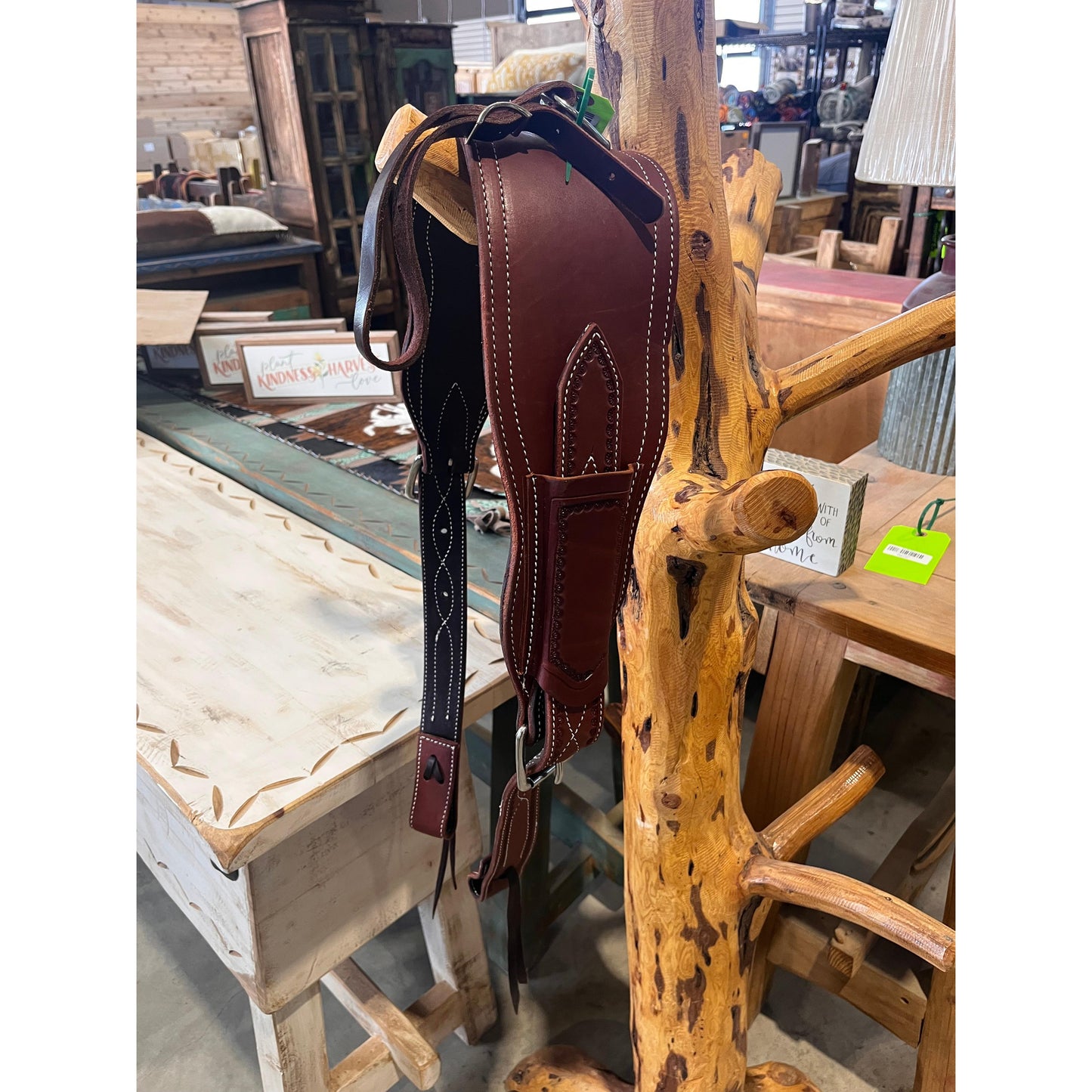 Irvine's Complete Back Cinch Set - Assorted Sizes