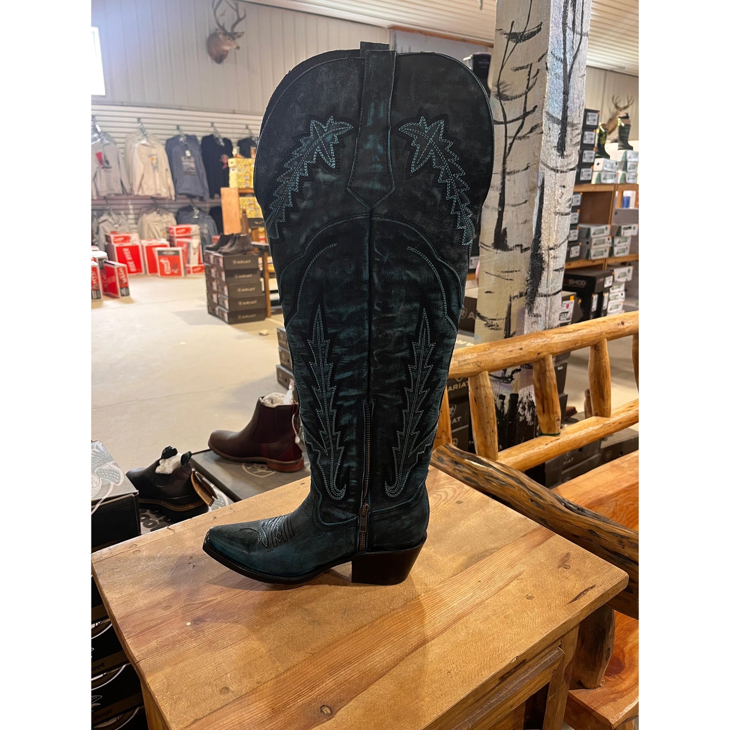 Rock'em Women's Monet Turquoise Tall Rock