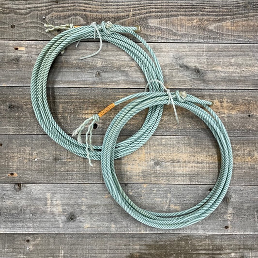 Uoza Black Label Citation 4-Strand 8.75mm Poly Calf Rope - Light Blue