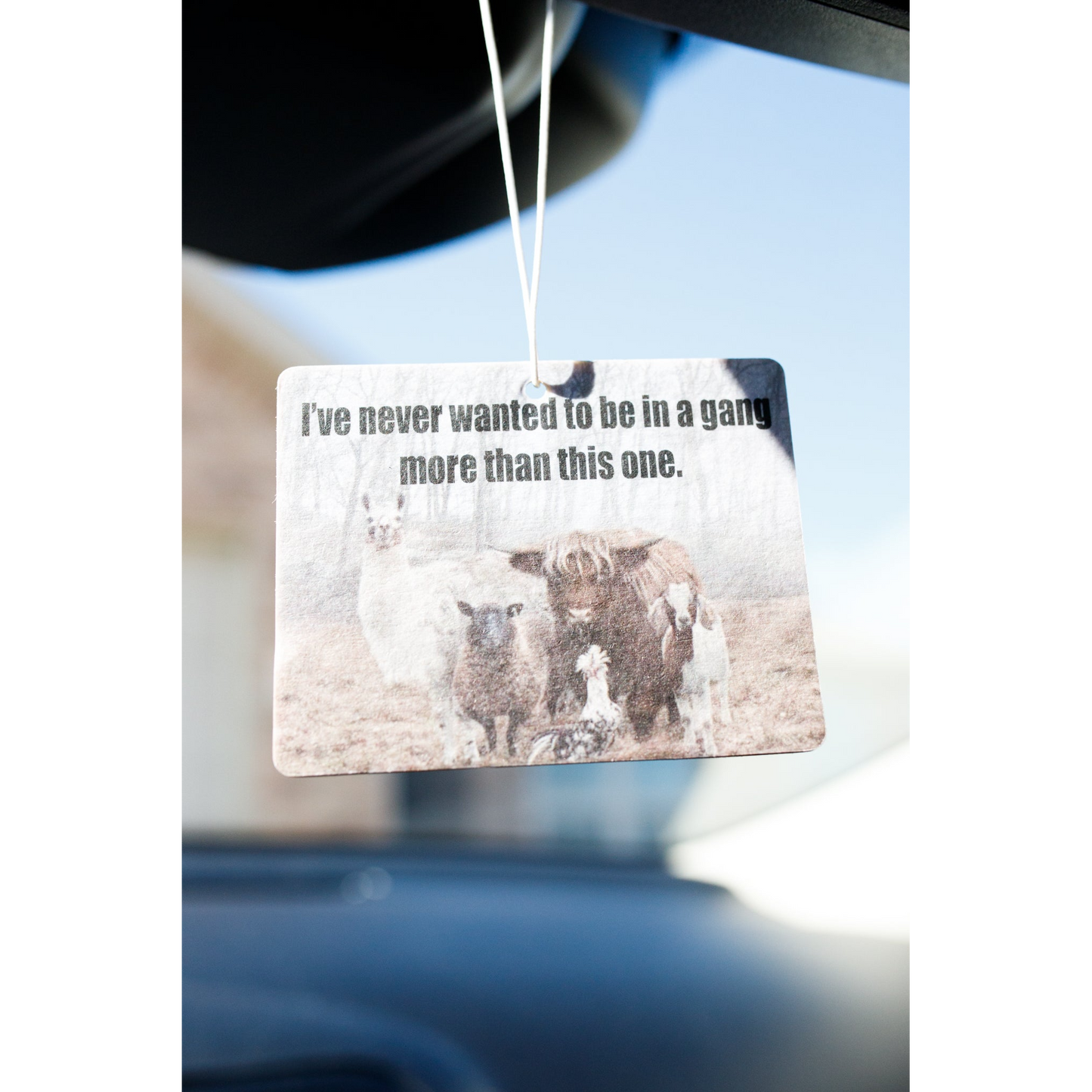 Front Porch Western Air Fresheners - Assorted Styles
