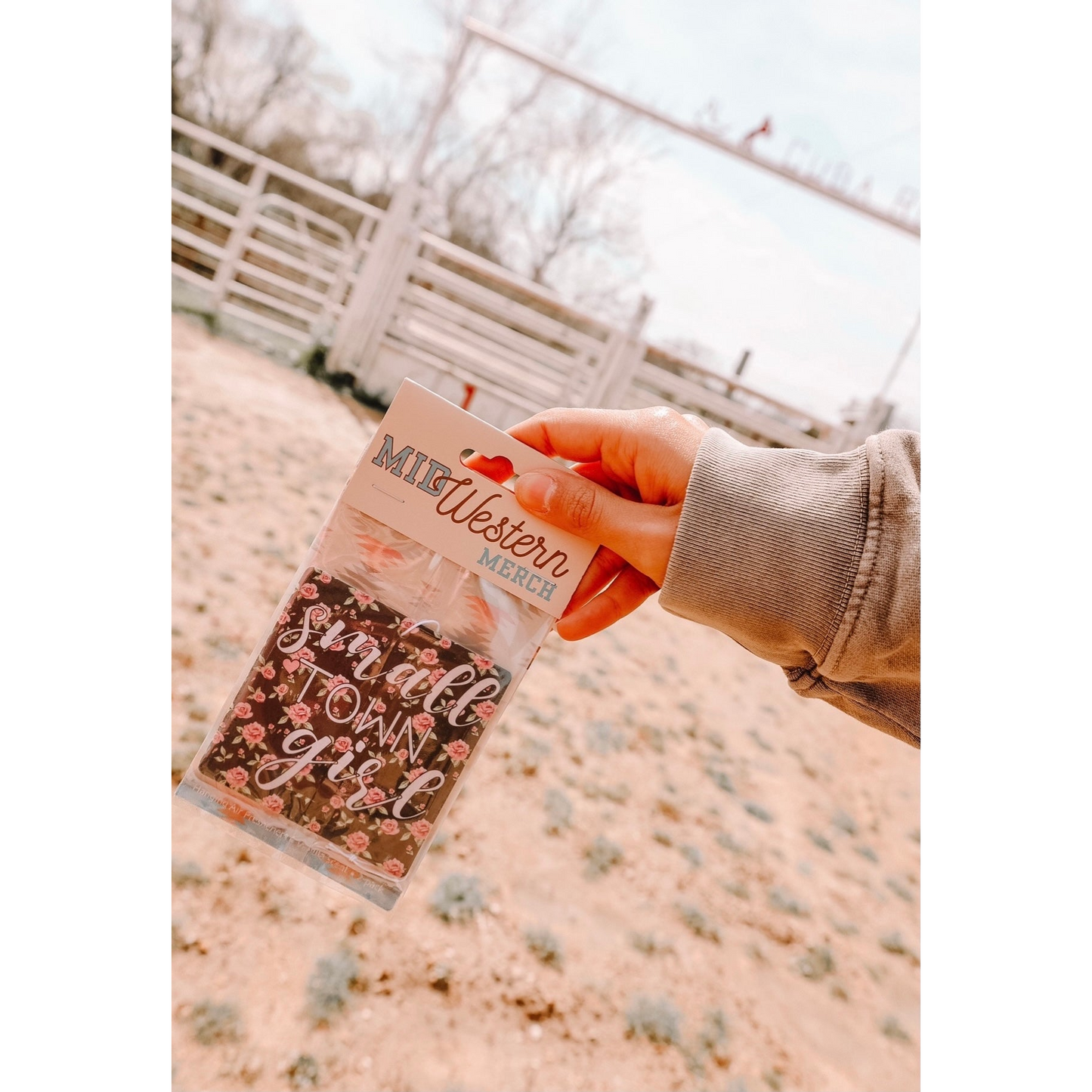 Front Porch Western Air Fresheners - Assorted Styles