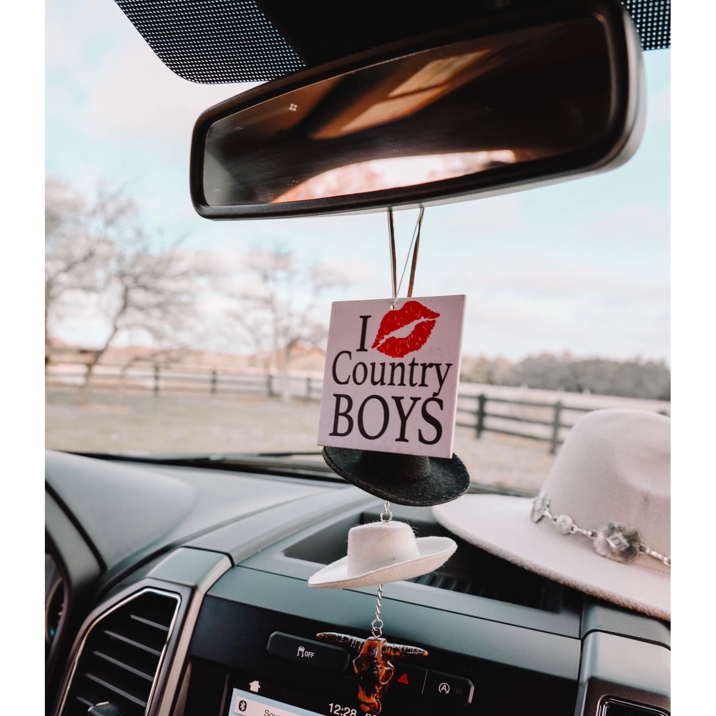 Front Porch Western Air Fresheners - Assorted Styles