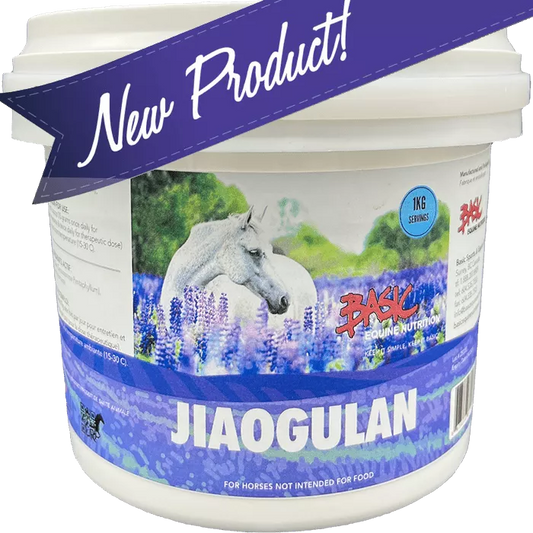 Basic Jiagulan 1KG