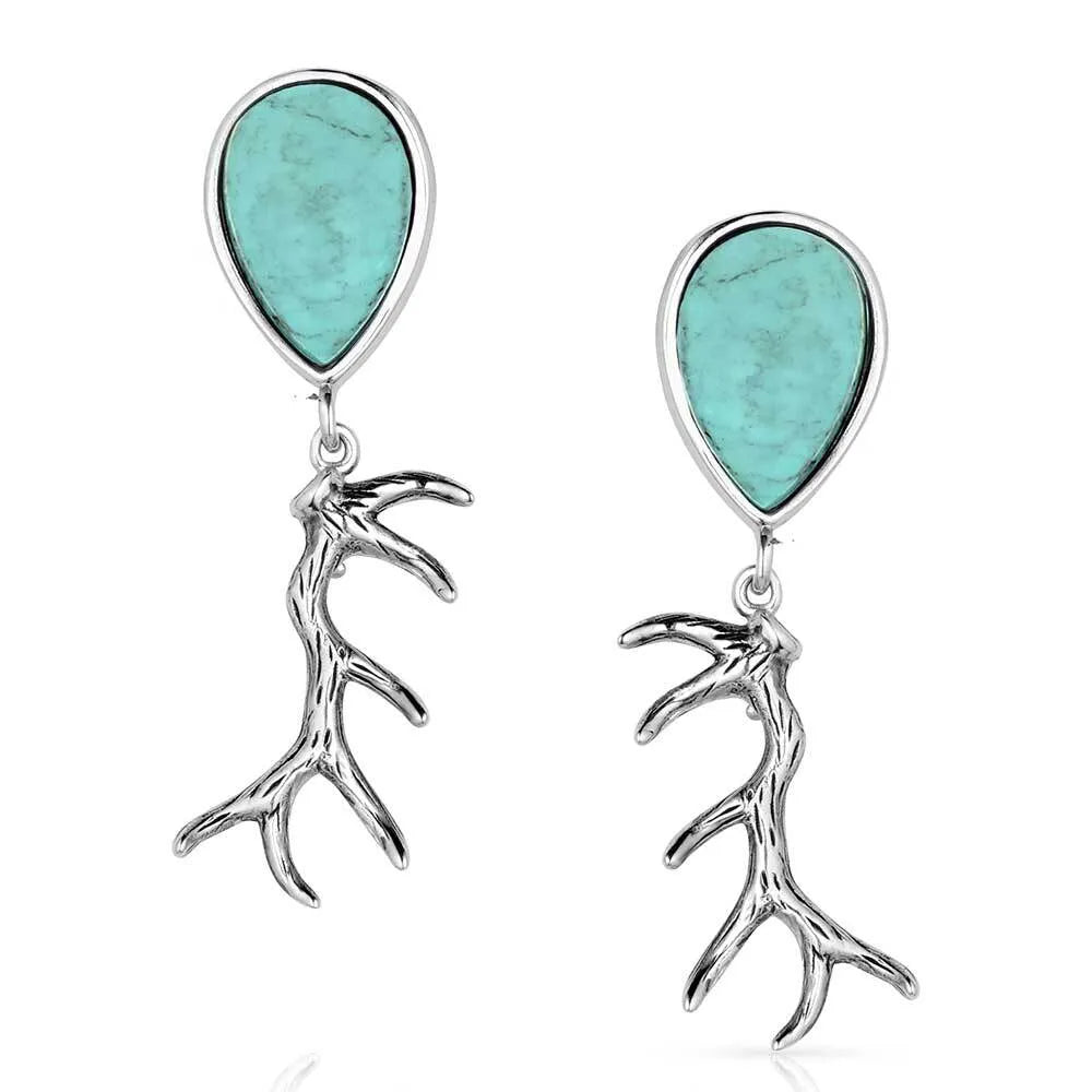 Montana Silversmith Nature's Gift Earrings