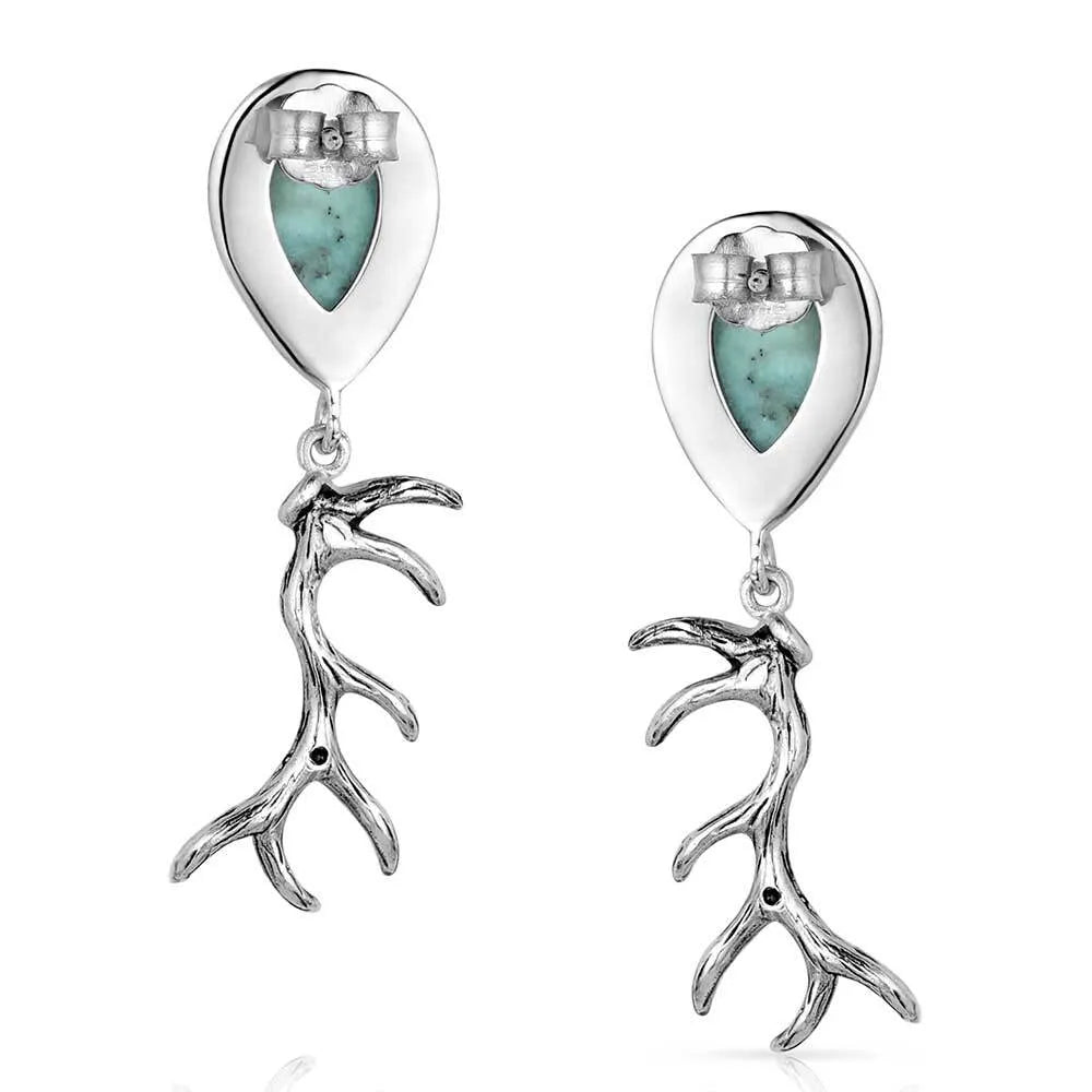 Montana Silversmith Nature's Gift Earrings