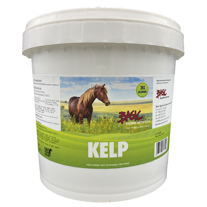 Basic Equine Kelp