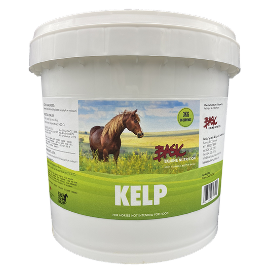Basic Equine Kelp