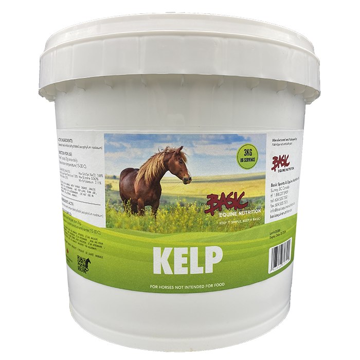 Basic Equine Kelp - 3 kg