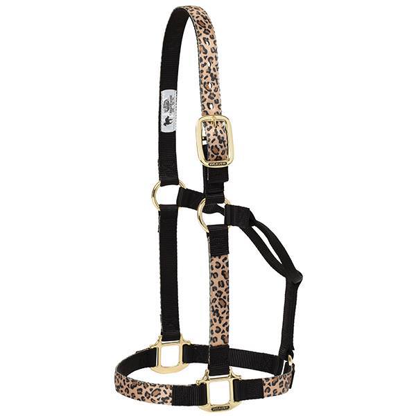 Weaver Leather Nylon Non-Adjustable Horse Halter Average - Multiple Colours