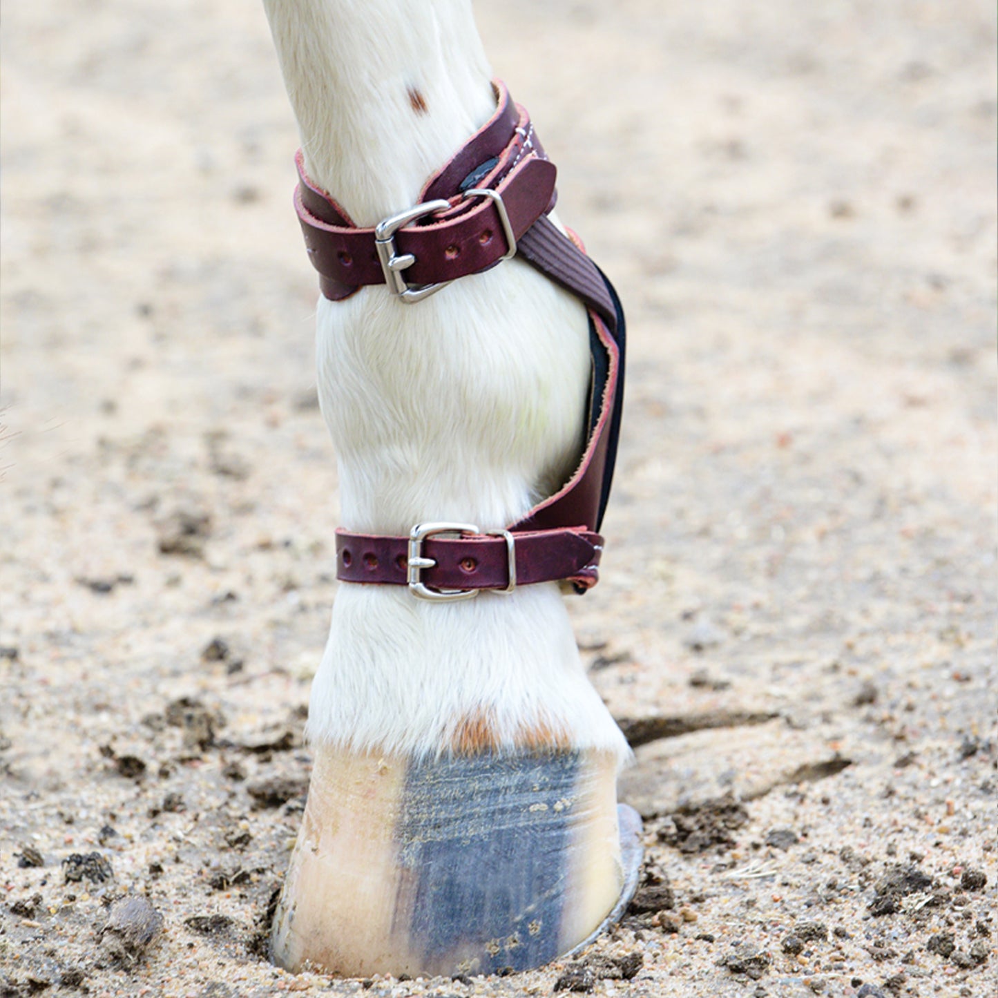 Professional's Choice Leather Skid Boots w/ Pro Mesh Cup