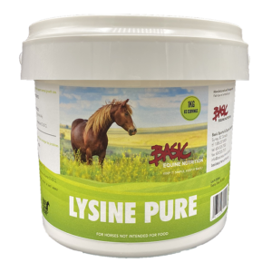Basic Equine Lysine Pure 1KG