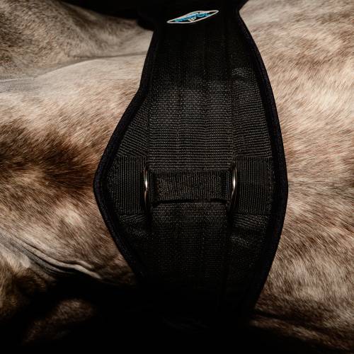 Professional Choice 2XCool Cinch - Irvine Tack &amp; Western Wear