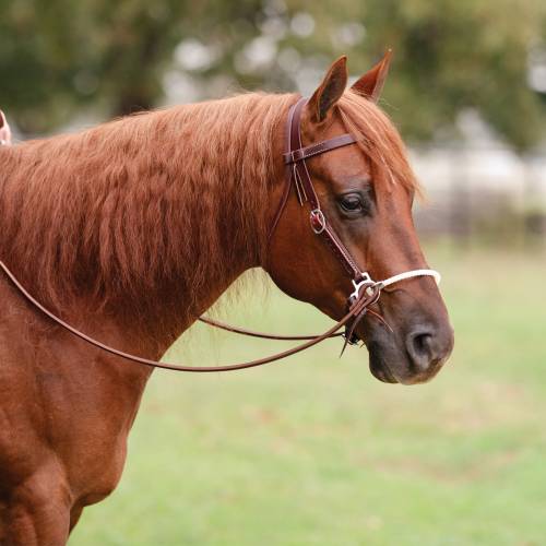 Professionals Choice Ranch Lariat Nose Side Pull